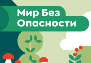 Инновационная деятельность «Мир Без Опасности» Инновационная деятельность «Мир Без Опасности».